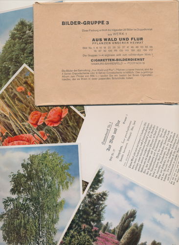 Aus Wald & Flur Pflanzen unserer Heimat Werk 1 Bilder Satz Gr. 3 für Zigarettenbilderalbum 3. Reich