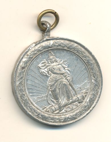 Krieger Fest Hamburg 1883 Erinnerungs - Medaille