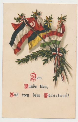 Patriotische Postkarte : Dem Bunde treu und treu dem Vaterland WK1