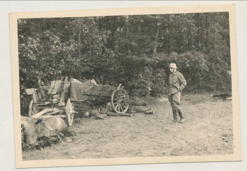 Schlachtfeld Foto deutscher Soldat bei gefallenen toten Soldaten Tod - Original Foto WK2
