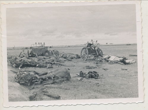 Schlachtfeld Foto Pferde Kadaver Tod Fuhrwerke Ausrüstung zerstört - Original Foto WK2
