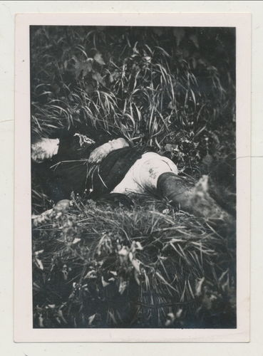 Schlachtfeld Foto gefallener toter Soldat im Feld - Original Foto WK2