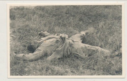 Schlachtfeld Foto gefallener toter Soldat im Feld - Original Foto WK2