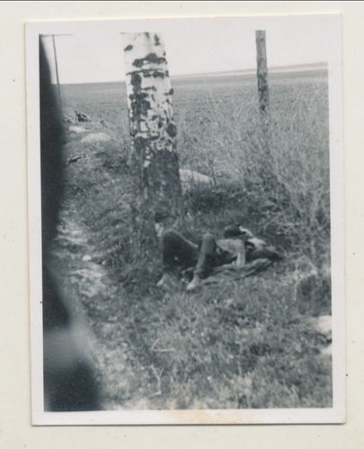 Schlachtfeld Foto gefallener toter Soldat am Strassenrand - Original Foto WK2