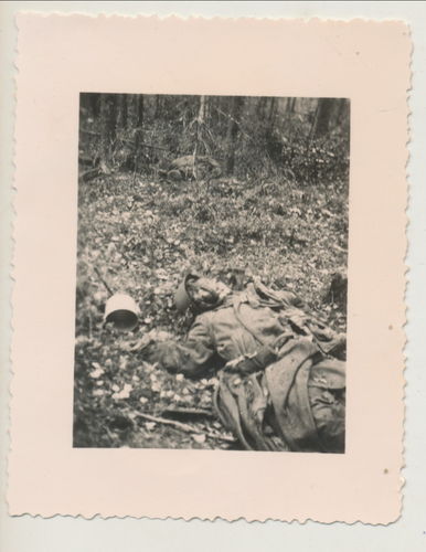 Schlachtfeld Foto gefallener toter Soldat am Waldrand - Original Foto WK2