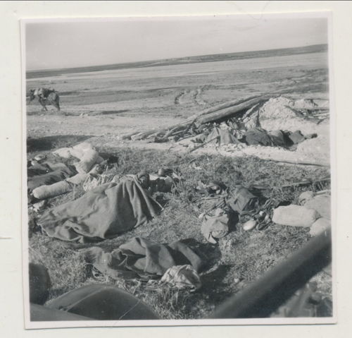 Schlachtfeld Foto gefallene tote Soldaten in Stellung - Original Foto WK2