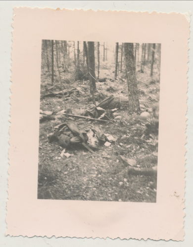 Schlachtfeld Foto gefallener toter Soldat im Wald - Original Foto WK2