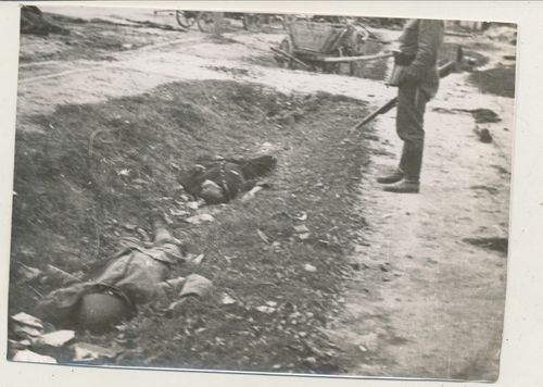 Schlachtfeld Foto gefallene tote Soldaten im Graben - Original Foto WK2