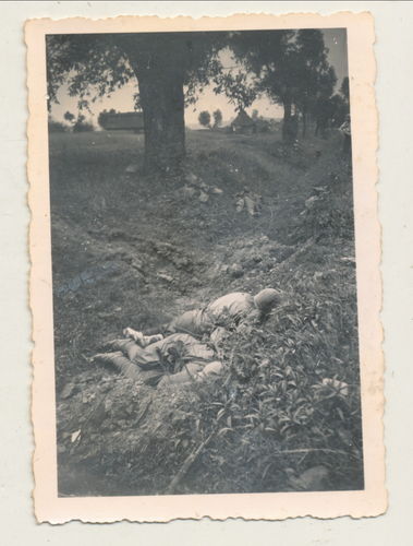 Schlachtfeld Foto gefallene tote Soldaten im Wald Graben - Original Foto WK2