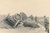 Schlachtfeld - 4 Foto gefallener toter Soldat Kadaver Ausrüstung Kriegsgerät - Original Foto WK2