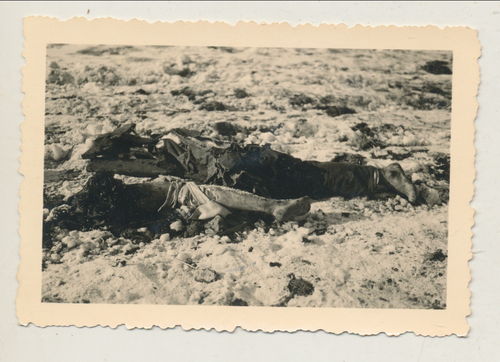 Schlachtfeld Foto gefallene tote Soldaten - Original Foto WK2