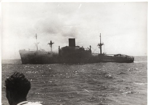 Presse Foto Kriegsmarine Torpedo Kanonen Boot 1942