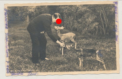 Adolf Hitler als Tierfreund mit Reh Original Postkarte 3. Reich