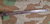 England British / Australian Pattern M 1907 Bajonett für das Gewehr 303 mit Koppelschuh frog