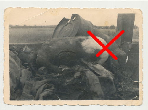 Schlachtfeld Original Foto gefallener Soldat auf Fahrzeug WK2