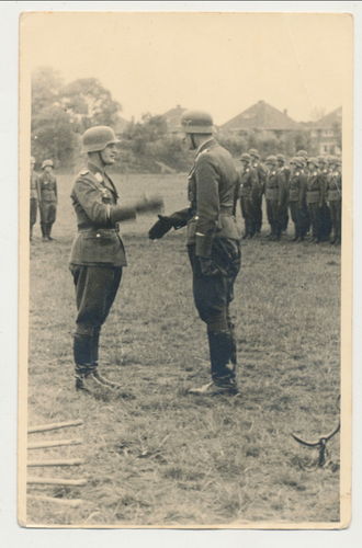 Deutsche Luftwaffe Parade Appell Eid Vereidigung Stahlhelm Original Foto WK2