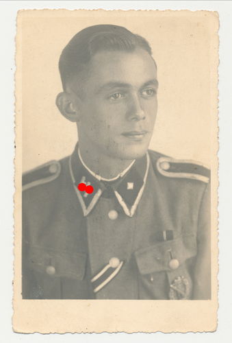 Waffen SS Unterscharführer mit Infanterie Sturmabzeichen Original Portrait Foto WK2