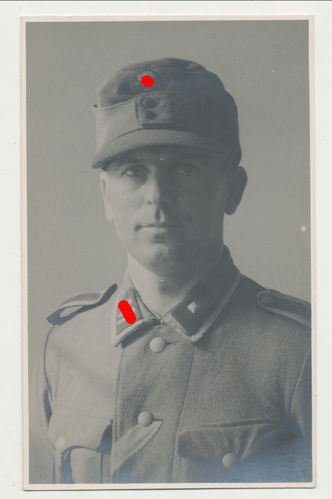 Waffen SS mit Feldmütze & Ordensband Finnland für Freiheitsmedaille Portrait Foto WK2