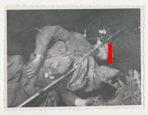 Tod Gefallene & Schlachtfeld gefallener Sowjet Russe mit Gewehr Mosin Nagant - Original Foto WK2