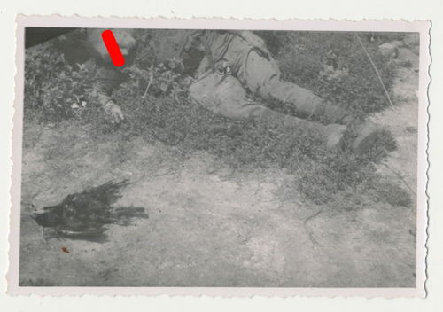 Tod Gefallene & Schlachtfeld gefallener Sowjet Russe mit Tierkadaver Krähe - Original Foto WK2