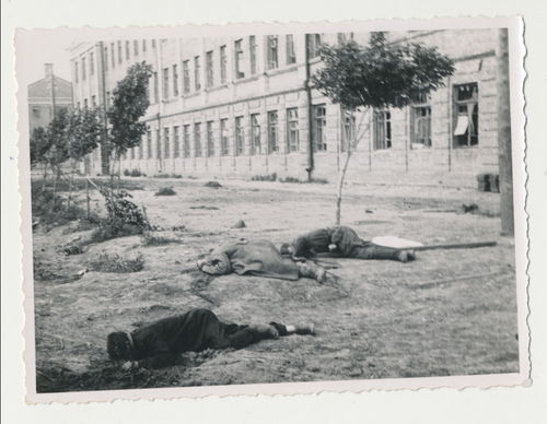 Tod Gefallene & Schlachtfeld gefallene Sowjet Russen - Original Foto WK2