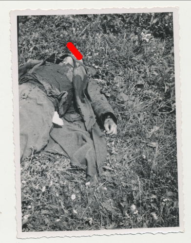 Tod Gefallene & Schlachtfeld gefallener Sowjet Russe - Original Foto WK2