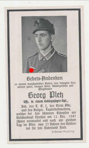 Sterbebild Uffz Pletz Gebirgsjäger Rgt 91 gefallen bei Cherson 1943 mit Historie